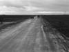 Country Road, 1939. /Nautomobiles On A Rural Road Between Potato Fields In Kern County, California. Photograph By Dorothea Lange, February 1939. Poster Print by Granger Collection - Item # VARGRC0123700