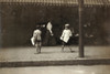 Virginia: Newsboys, 1911. /Nnewsboys In Norfolk, Virginia. Photograph By Lewis Hine, June 1911. Poster Print by Granger Collection - Item # VARGRC0107441