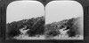 World War I: Belgium, C1915. /Nbritish Soldiers Creeping Over Sand Dunes During World War I. Stereograph, C1915. Poster Print by Granger Collection - Item # VARGRC0325447