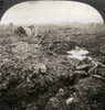 Wwi: Lens, C1917. /N'Where Hell Was Loosed; War'S Indescribable Desolation And Unburied Victims, Lens.' Stereograph, C1917. Poster Print by Granger Collection - Item # VARGRC0324990