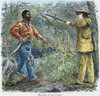 Capture Of Nat Turner. /Nthe Capture Of Nat Turner (1800-1831) By Benjamin Phipps On 30 October 1831. Wood Engraving, 19Th Century. Poster Print by Granger Collection - Item # VARGRC0008263