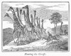 Hunting: Giraffe, C1860. /Nhunting The Giraffe. Wood Engraving, C1860. Poster Print by Granger Collection - Item # VARGRC0101081