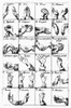 Hand Motions, 1644. /Nalphabet Of Postures And Their Meaning. Engraving, English, 1644. Poster Print by Granger Collection - Item # VARGRC0097610