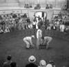 Puerto Rico: Cockfight, 1937. /Na Cockfight In Puerto Rico. Photograph By Edwin Rosskam, 1937. Poster Print by Granger Collection - Item # VARGRC0266071