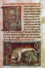 Bestiary: Lion. /Nmanuscript Illumination Of An Initial B And A Lion From A 12Th Century English Latin Bestiary. Poster Print by Granger Collection - Item # VARGRC0019344