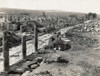 Algeria: Roman Street. /Nancient Roman Street In Timgad, Algeria. Photograph, Late 19Th Century. Poster Print by Granger Collection - Item # VARGRC0129189