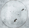 Galileo Sunspot Illustration Poster Print by Science Source - Item # VARSCIBN2328
