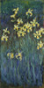 Monet: Yellow Irises. /Noil On Canvas, Claude Monet, C1915. Poster Print by Granger Collection - Item # VARGRC0433784
