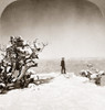 Grand Canyon: Sightseer. /Na Man Standing In The Snow On Granger Point As He Looks Out Over The Grand Canyon In Arizona. Stereograph, 1906. Poster Print by Granger Collection - Item # VARGRC0260404