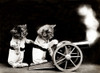 Fire!, 1914 Poster Print by Science Source - Item # VARSCIJB6407