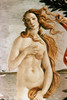Aphrodite/Venus./Ndetail Of Venus. Canvas, By Sandro Botticelli. Poster Print by Granger Collection - Item # VARGRC0024469