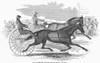 Trotting Horses, 1854. /Nthe Celebrated Trotting Horses Flora And Mac. Wood Engraving, 1854. Poster Print by Granger Collection - Item # VARGRC0097823