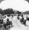 Paris: Champs Elysees. /Nthe Avenue Des Champs Elysees From Rond Point To The Arch De Triomphe, Paris, France. Stereograph, C1903. Poster Print by Granger Collection - Item # VARGRC0117765