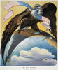 American Imperialism, 1904. /Nthe Eagle Of American Imperialism With Wings Spread From Puerto Rico To The Philippines. American Cartoon, 1904, By Joseph Keppler, Jr. Poster Print by Granger Collection - Item # VARGRC0009383