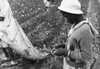 Cotton Picker, 1935. /Na Young African American Migrant Worker Picking Cotton, Pulaski County, Arkansas. Photograph By Ben Shahn On October 1935. Poster Print by Granger Collection - Item # VARGRC0119016