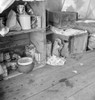 Pea Picker'S Camp, 1939. /Nfood And Household Equipment Inside The Tent At A Pea Picker'S Camp In Santa Clara County, California. Photograph By Dorothea Lange, 1939. Poster Print by Granger Collection - Item # VARGRC0323298