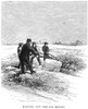 Cutting Ice, 1870. /Nhauling Out Ice Blocks On A Lake In Minnesota. Wood Engraving, American, 1870. Poster Print by Granger Collection - Item # VARGRC0097008