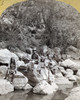 Apache Scouts, 1873. /Nthree Apache Scouts On Apache Lake In The Sierra Blanca (White) Mountains, Arizona. Photograph By Timothy O'Sullivan, 1873. Poster Print by Granger Collection - Item # VARGRC0114246