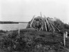 Alaska: Eskimo House. /Na Log And Sod Hut On The Banks Of The Selawik River, Alaska. Photographed By Edward S. Curtis, C1929. Poster Print by Granger Collection - Item # VARGRC0121983