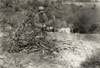 Hine: Corn Farmer, 1921. /Ngradie Walton With The Corn He Grew In Pocahontas County, West Virginia. Photograph By Lewis W. Hine, October 1921. Poster Print by Granger Collection - Item # VARGRC0176068