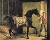 Gericault: Horse, C1800. /Noil On Canvas, C1800, By Theodore Gericault. Poster Print by Granger Collection - Item # VARGRC0103939