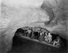 Kentucky: Mammoth Cave. /Na Group Of Visitors Sitting Afloat On Echo River, Inside Mammoth Cave In Kentucky. Photograph By Frances Benjamin Johnston, 1892. Poster Print by Granger Collection - Item # VARGRC0066086