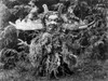Kwakiutl Dancer, C1914. /Na Kwakiutl Dancer Of The Winter Ceremony Wearing A Double-Headed Serpent Mask And A Shirt Made Of Hemlock Boughs. Photograph By Edward Curtis, C1914. Poster Print by Granger Collection - Item # VARGRC0113885