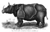 Rhinoceros. /Netching-And-Engraving, English, 18Th Century. Poster Print by Granger Collection - Item # VARGRC0017998