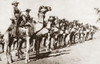 World War I: Camel Corps. /Ngerman Camel Corps In East Africa During World War I. Photograph, C1916. Poster Print by Granger Collection - Item # VARGRC0408360