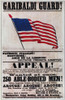 Civil War: Recruitng, 1861. /Ncivil War Recruiting Poster, 1861, Appealing To Recent Immigrants To U.S. Poster Print by Granger Collection - Item # VARGRC0039170