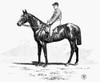 Race Horse, 1900. /Nline Engraving, French, C1900. Poster Print by Granger Collection - Item # VARGRC0080111