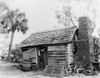 Florida: Log Cabin. /Nan African American Man Standing In The Doorway Of A Log Cabin In Turket Creek, Florida. Photograph, C1880-1899. Poster Print by Granger Collection - Item # VARGRC0124316