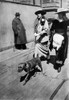 Easter Parade, 1915. /Ntwo Women Walk A Dog Down 5Th Avenue During An Easter Parade, New York. Photograph, 1915. Poster Print by Granger Collection - Item # VARGRC0409522