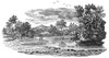 Bewick: Landscape. /Nwoodcut By Thomas Bewick (1753-1828). Poster Print by Granger Collection - Item # VARGRC0037821