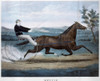 Horse Racing, C1874. /N'Nettie.' Lithograph, C1874. Poster Print by Granger Collection - Item # VARGRC0260593