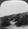 World War I: Belgium, C1915. /Nbritish Soldiers Creeping Over Sand Dunes During World War I. Stereograph, C1915. Poster Print by Granger Collection - Item # VARGRC0325446