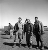 Wwii: Tuskegee Airmen, 1945. /Nmembers Of The Tuskegee Airmen Ground Crew At Ramitelli Airfield In Italy, Looking Skyward. Photograph By Toni Frissell, March 1945. Poster Print by Granger Collection - Item # VARGRC0167422