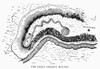 The Great Serpent Mound. /Nbuilt By Pre-Colombian Native Americans In Ohio. American Engraving, 1851. Poster Print by Granger Collection - Item # VARGRC0057644