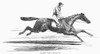 Racehorse, 1856. /Nellington, Winner Of The Derby. Wood Engraving, English, 1856. Poster Print by Granger Collection - Item # VARGRC0097809