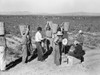 California: Pea Field, 1939. /Nworkers Weighing Bushels Of Peas In A Field Near Calipatria, California. Photograph By Dorothea Lange, 1939. Poster Print by Granger Collection - Item # VARGRC0323300