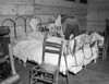 Red Cross Infirmary, 1937. /Na Sick Flood Refugee In The Red Cross Temporary Infirmary At A Flood Refugee Camp In Forrest City, Arkansas. Photograph By Walker Evans, February 1937. Poster Print by Granger Collection - Item # VARGRC0324895