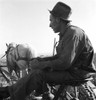 Oregon: Farmer, 1939. /Na Owyhee Project Tenant Farmer Seated On A Horse Drawn Plow In Malheur County, Oregon. Photograph By Dorothea Lange, October 1939. Poster Print by Granger Collection - Item # VARGRC0123122