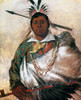 Catlin: Cherokee, 1836. /Nblack Coat, A Cherokee Chief. Oil On Canvas, 1836, By George Catlin. Poster Print by Granger Collection - Item # VARGRC0035641