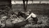 Hine: Husking Corn, 1915. /Ntwo Boys Threshing Corn During School Hours On A Farm Near Dublin, Georgia. Photograph By Lewis Hine, March 1915. Poster Print by Granger Collection - Item # VARGRC0176047