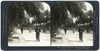 Spain: Barcelona, C1908. /N'Under The Palms - Along The Beautiful Paseo De Colon, Barcelona, Spain.' Stereograph, C1908. Poster Print by Granger Collection - Item # VARGRC0323730