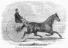 Trotting Horse, 1861. /Njackey, The Winner Of The Late Aintree Trotting Stakes At Liverpool, England. Wood Engraving, 1861. Poster Print by Granger Collection - Item # VARGRC0097825