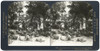 Spain: Seville, C1908. /N'A Picturesque Scene At The Great Annual Cattle Fair, Seville, Spain.' Stereograph, C1908. Poster Print by Granger Collection - Item # VARGRC0323723