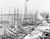 Bahamas, C1905. /Na Fleet Of Sponge-Fishing Boats In A Harbor In Nassau, New Providence Island, Bahamas. Photograph, C1905. Poster Print by Granger Collection - Item # VARGRC0186308