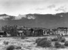 Squatter Camp, 1935. /Nsquatter Camp Of Migrant Farmers In California. Photograph, 1935 By Dorothea Lange. Poster Print by Granger Collection - Item # VARGRC0106301