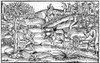 Peasants Farming, C1520. /Npeasants Working The Fields In Autumn. Woodcut, German, C1520. Poster Print by Granger Collection - Item # VARGRC0043178